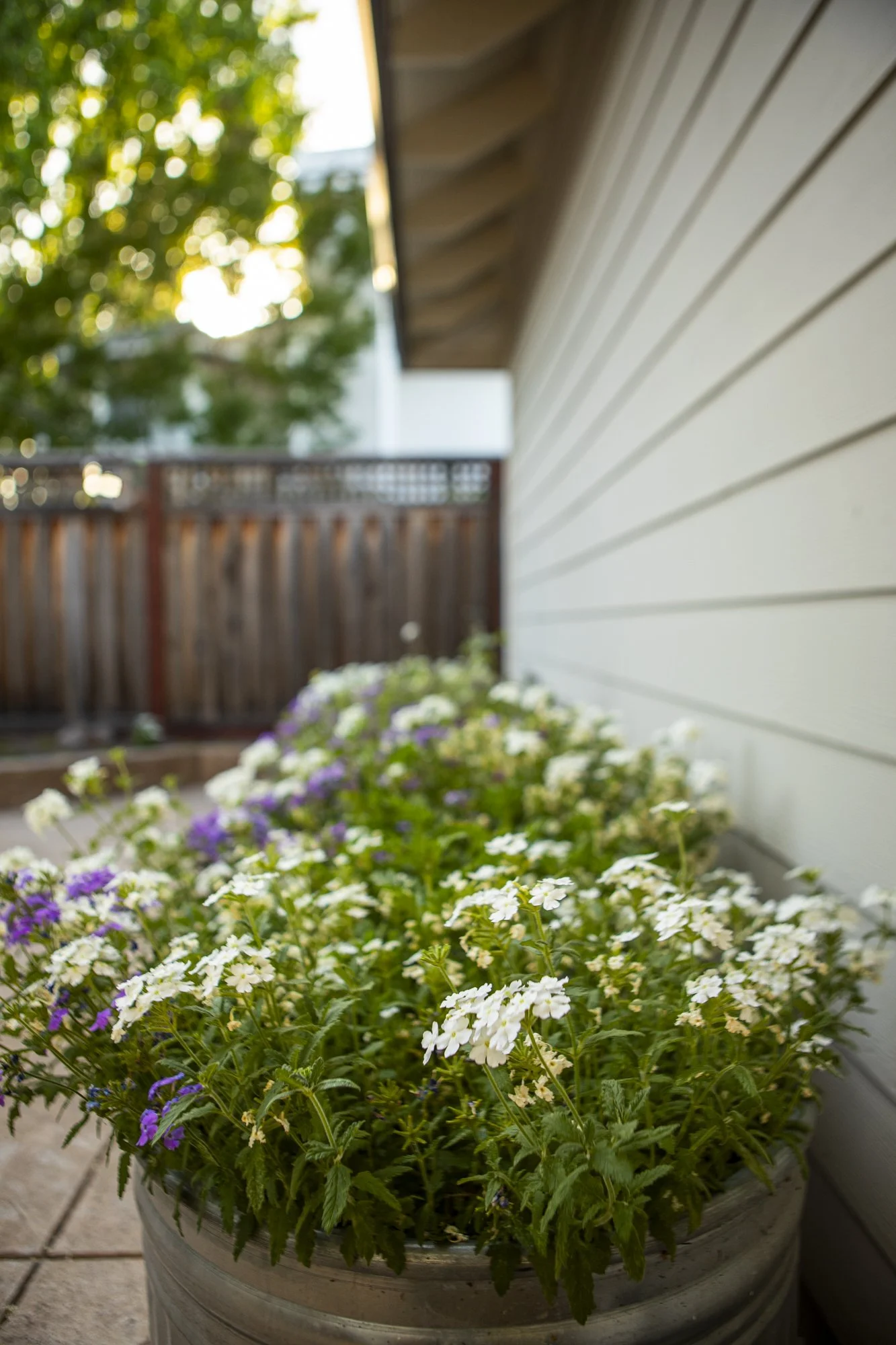 PINE_MHG_Italian Poolside Retreat_Low Res_0026.jpg