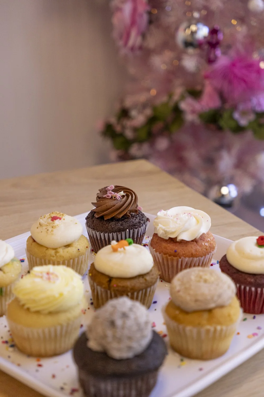 PINE_Downtown Santa Rosa_Blondie's_0012-13.jpg