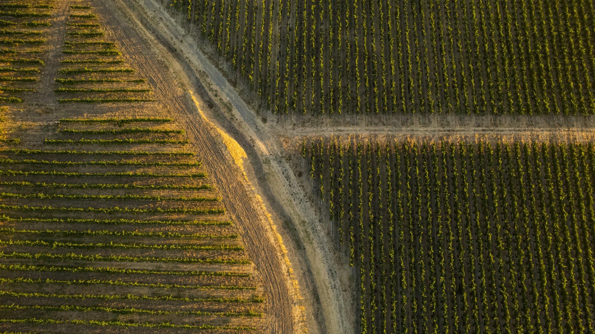 Cinematic Terrior Capture - A Visual Sense of Place