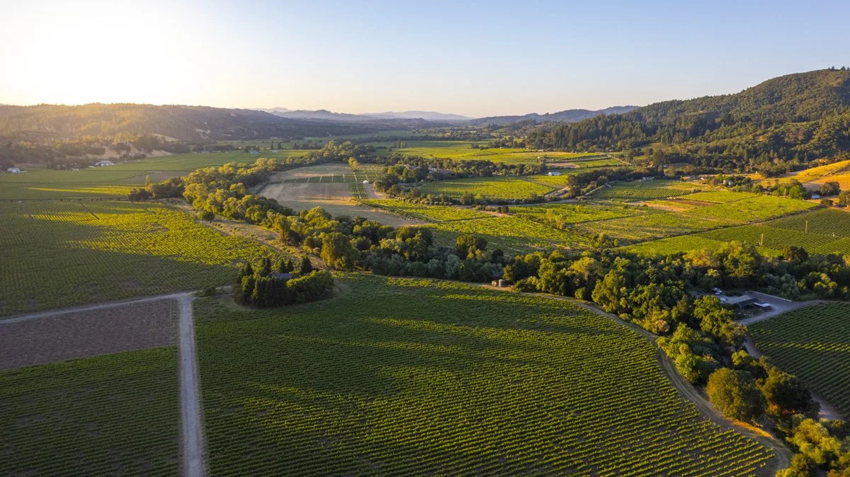 DQP_Legacy Collection_2025_0089.jpg