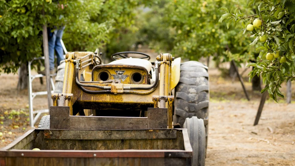 DQP_Legacy Collection_2025_0031.jpg