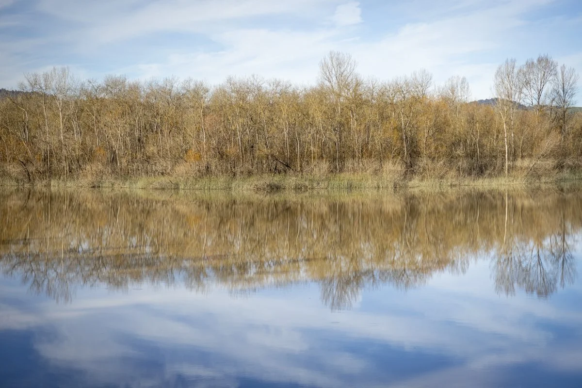 PINE_Grandma and Jon 2026 Galvans_001-22.jpg