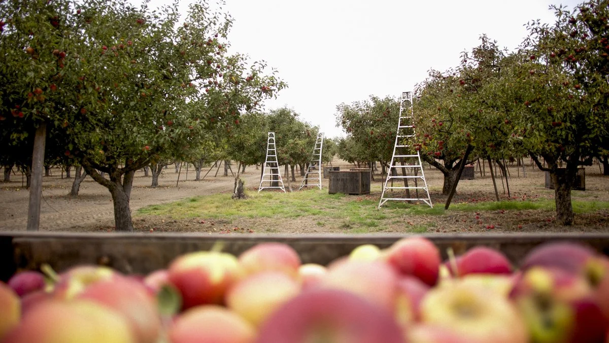 DQP_Legacy Collection_2025_0034.jpg