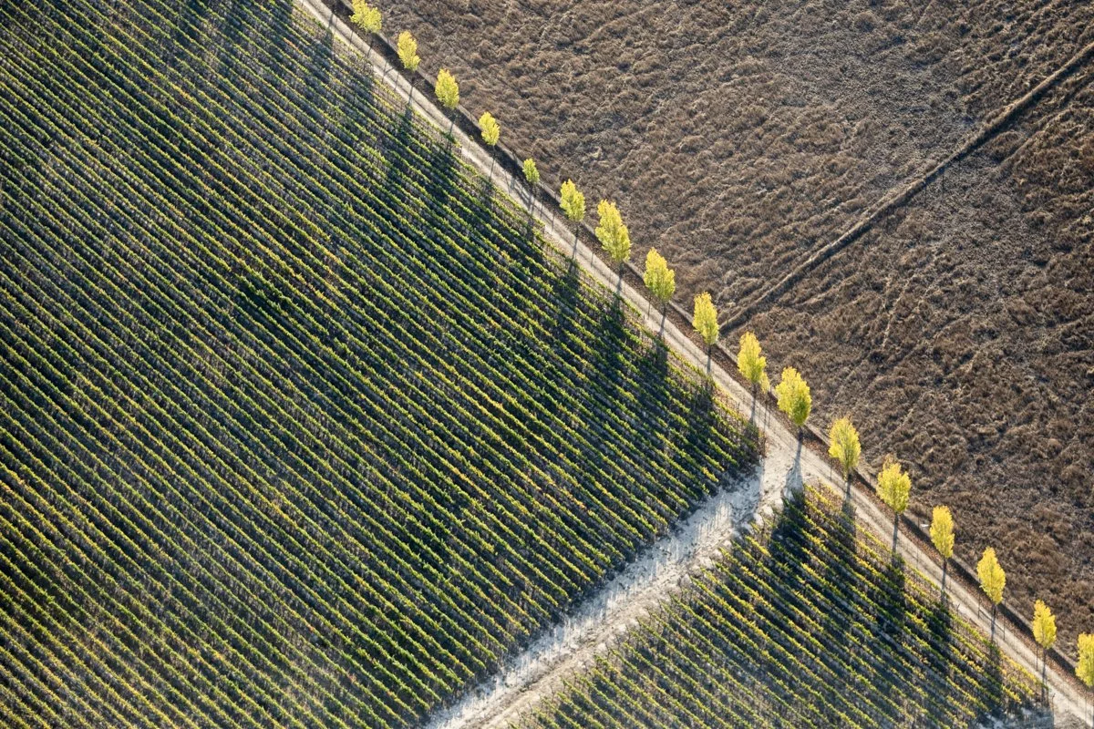 DQP_Legacy Collection_2025_0060.jpg