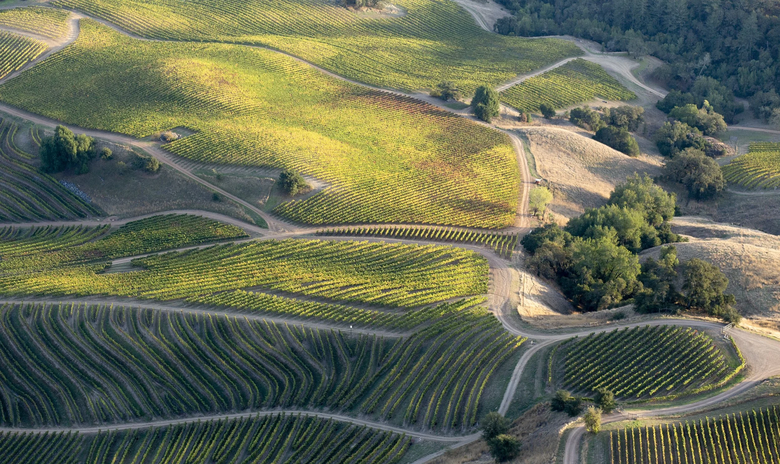 DQP_Legacy Collection_2025_0040.jpg