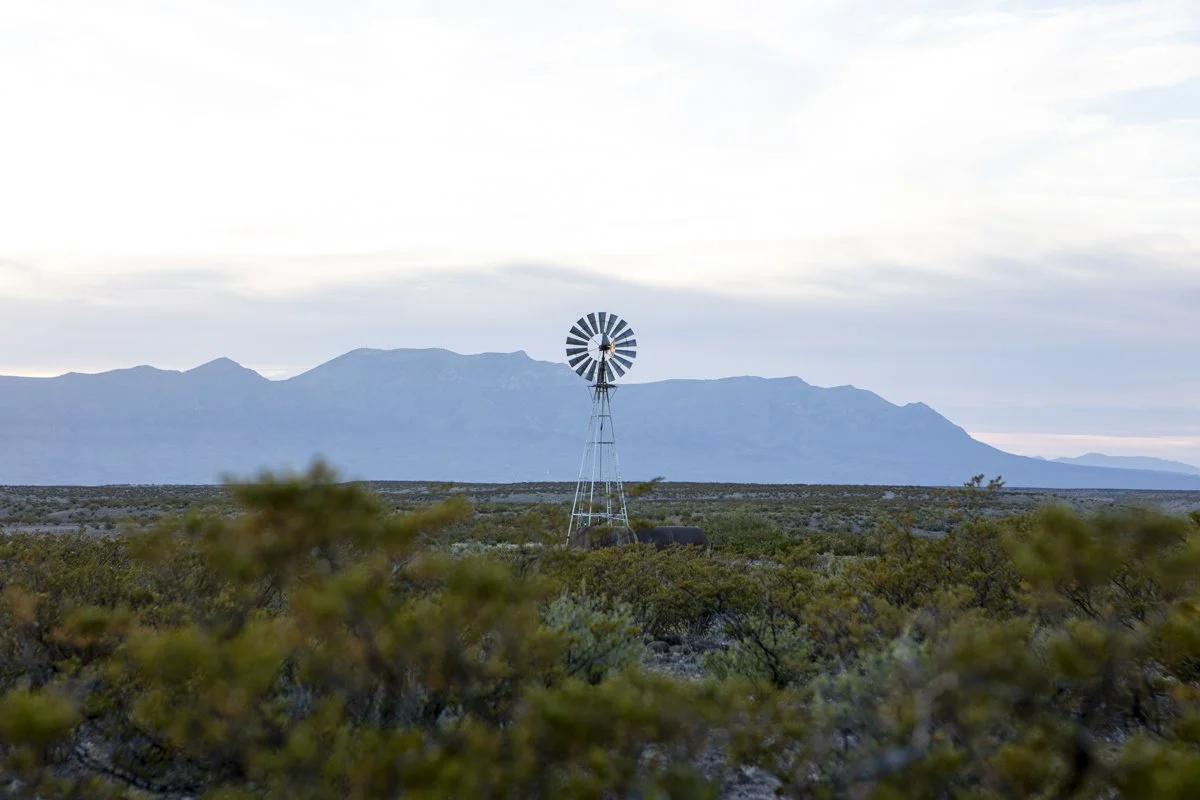 DQP_Legacy Collection_2025_0088.jpg