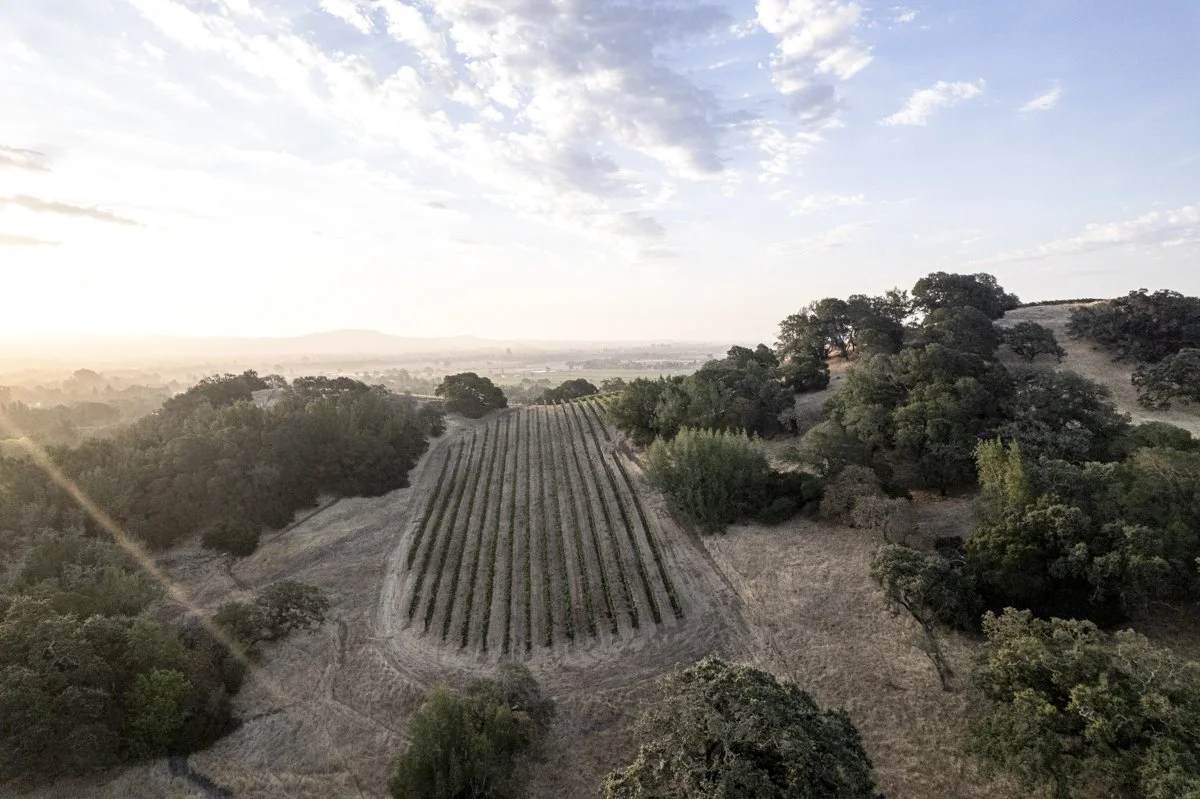 DQP_Legacy Collection_2025_0071.jpg