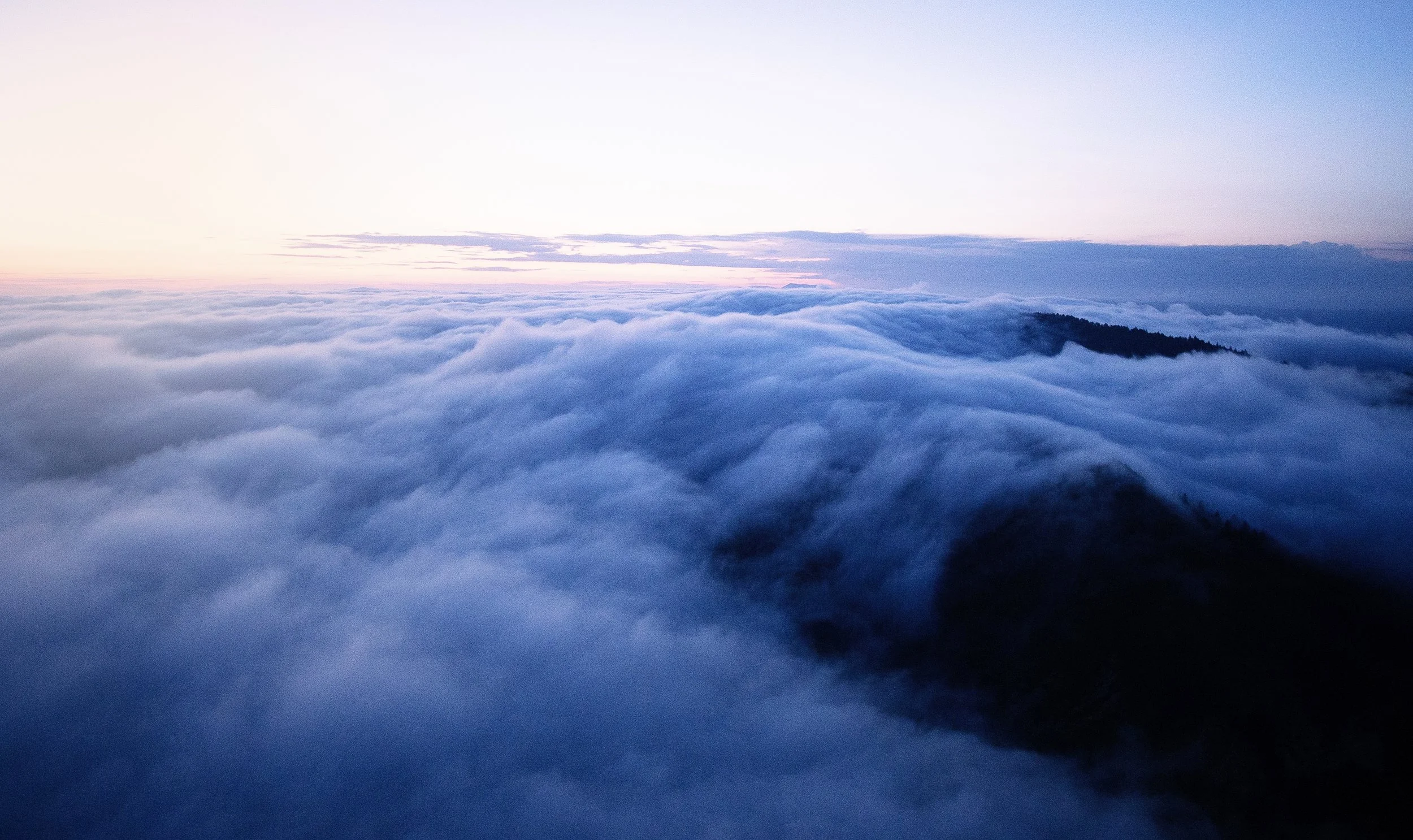 DQP_Legacy Collection_2025_0008.jpg