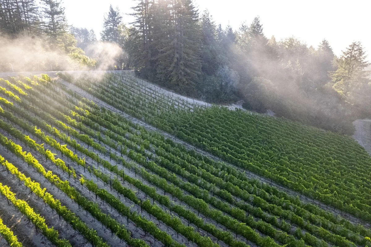 DQP_Legacy Collection_2025_0073.jpg