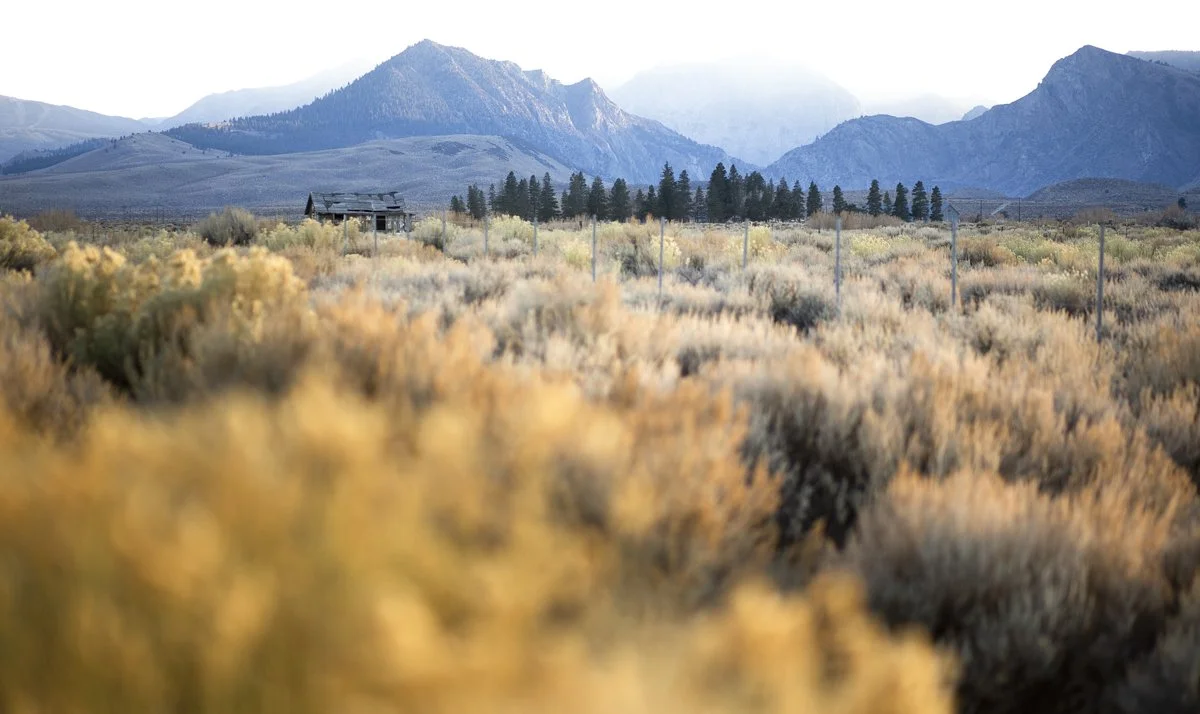 DQP_Legacy Collection_2025_0050.jpg