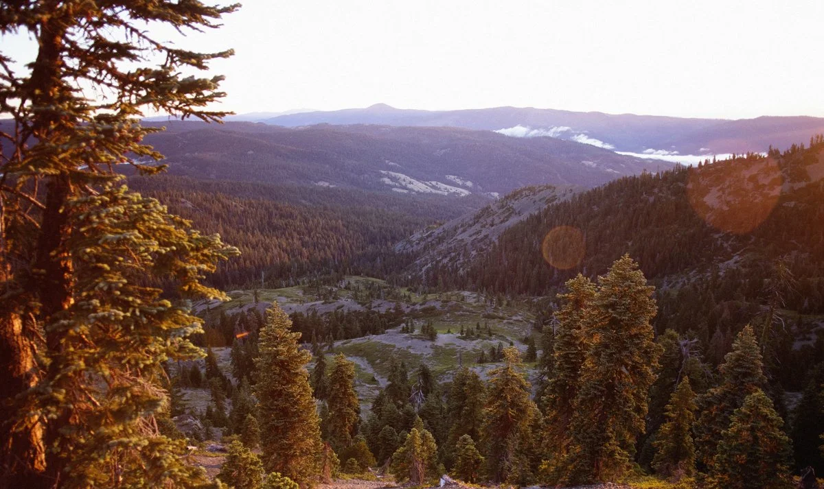 DQP_Legacy Collection_2025_0018.jpg