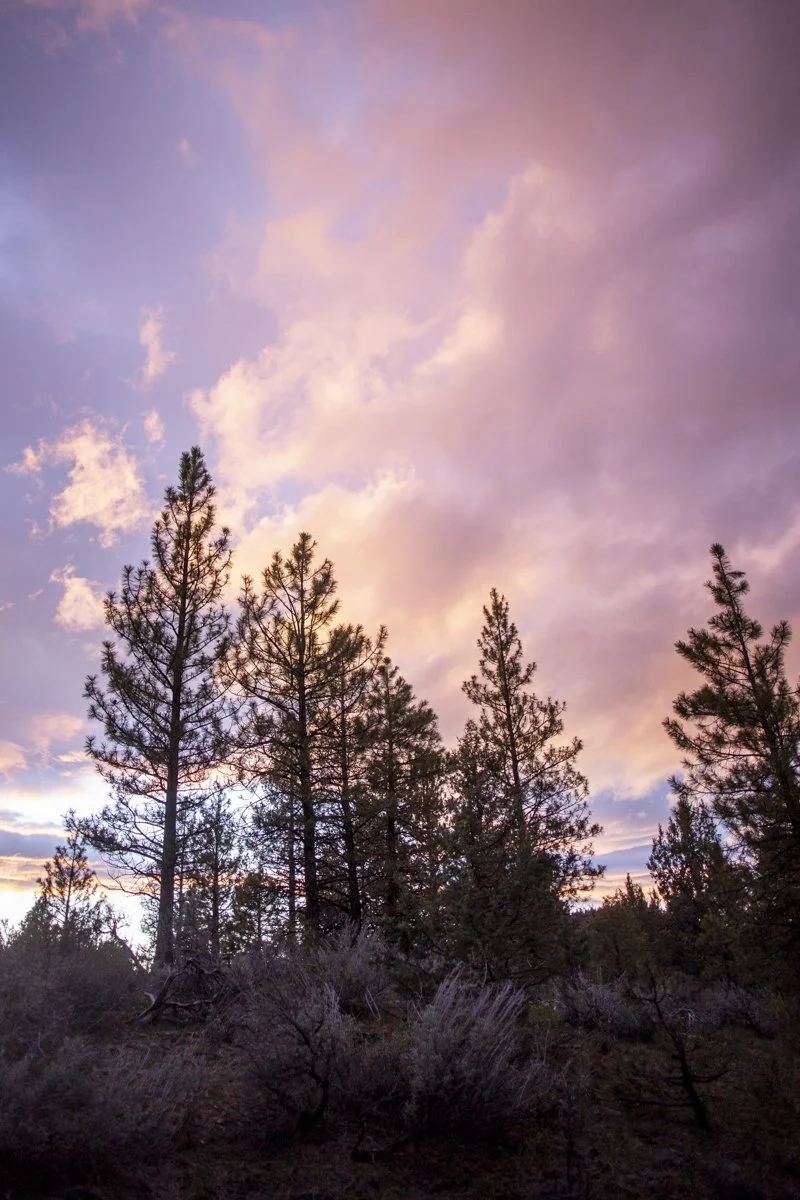 DQP_Legacy Collection_2025_0068.jpg