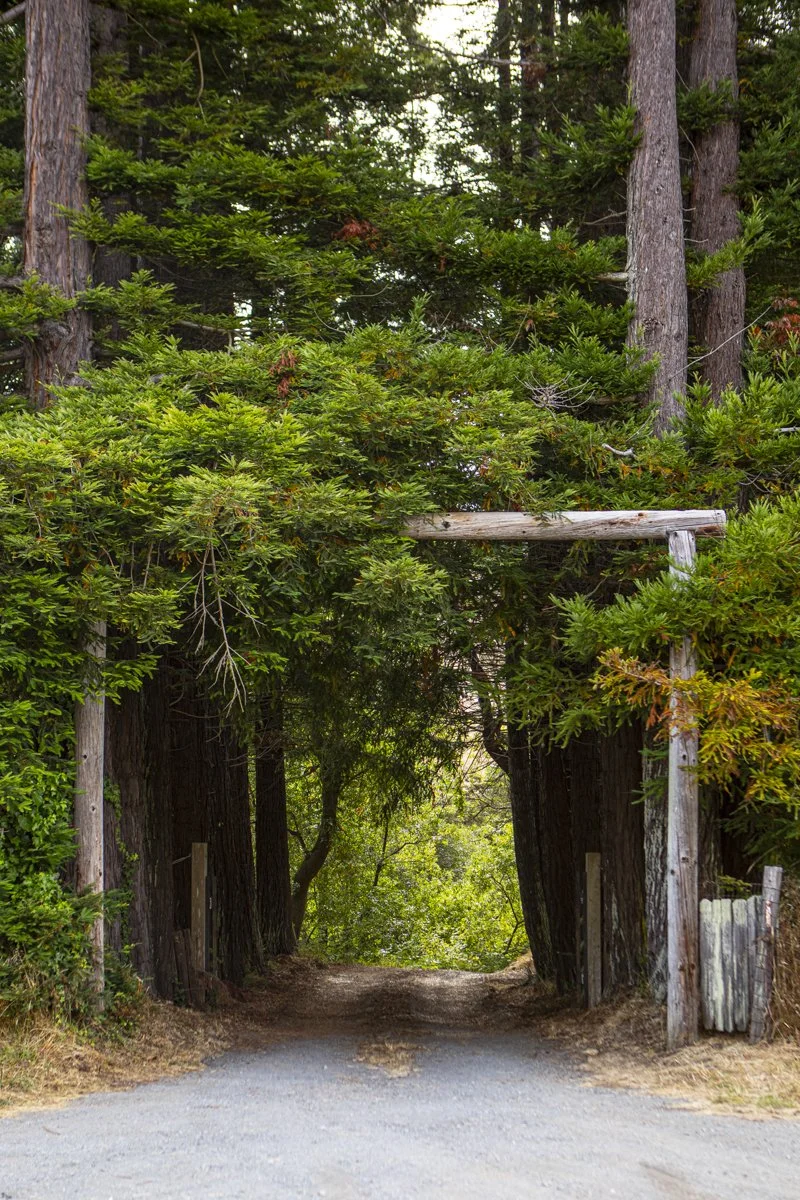 DQP_Legacy Collection_2025_0092.jpg