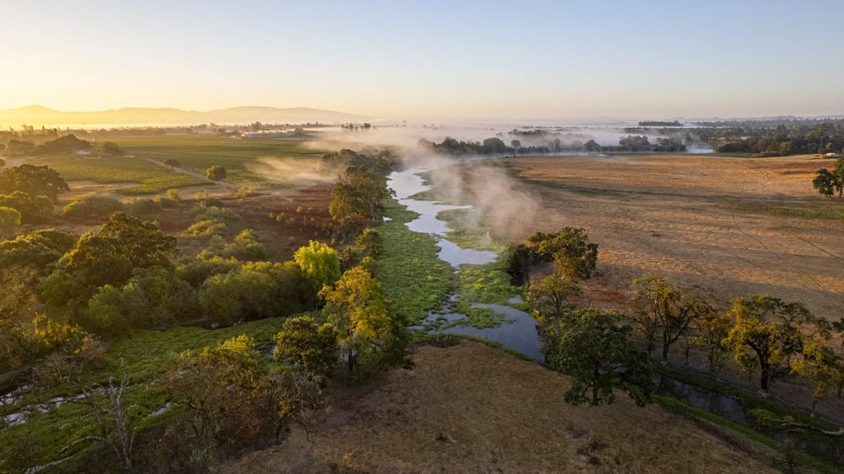 DQP_Legacy Collection_2025_0091.jpg