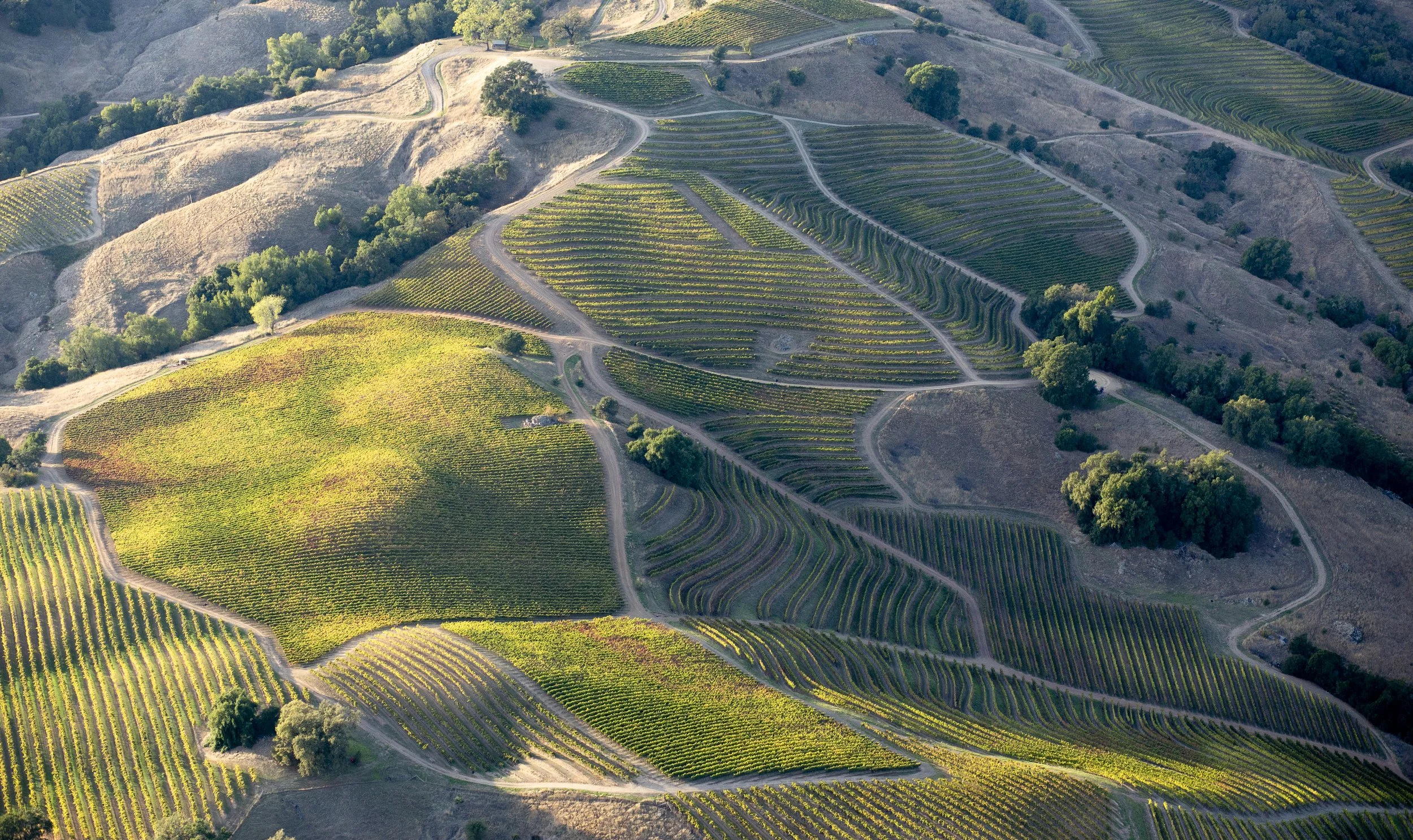 DQP_Legacy Collection_2025_0001.jpg