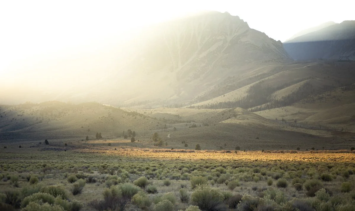 DQP_Legacy Collection_2025_0051.jpg