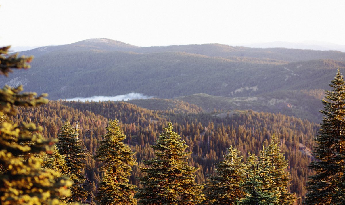 DQP_Legacy Collection_2025_0019.jpg