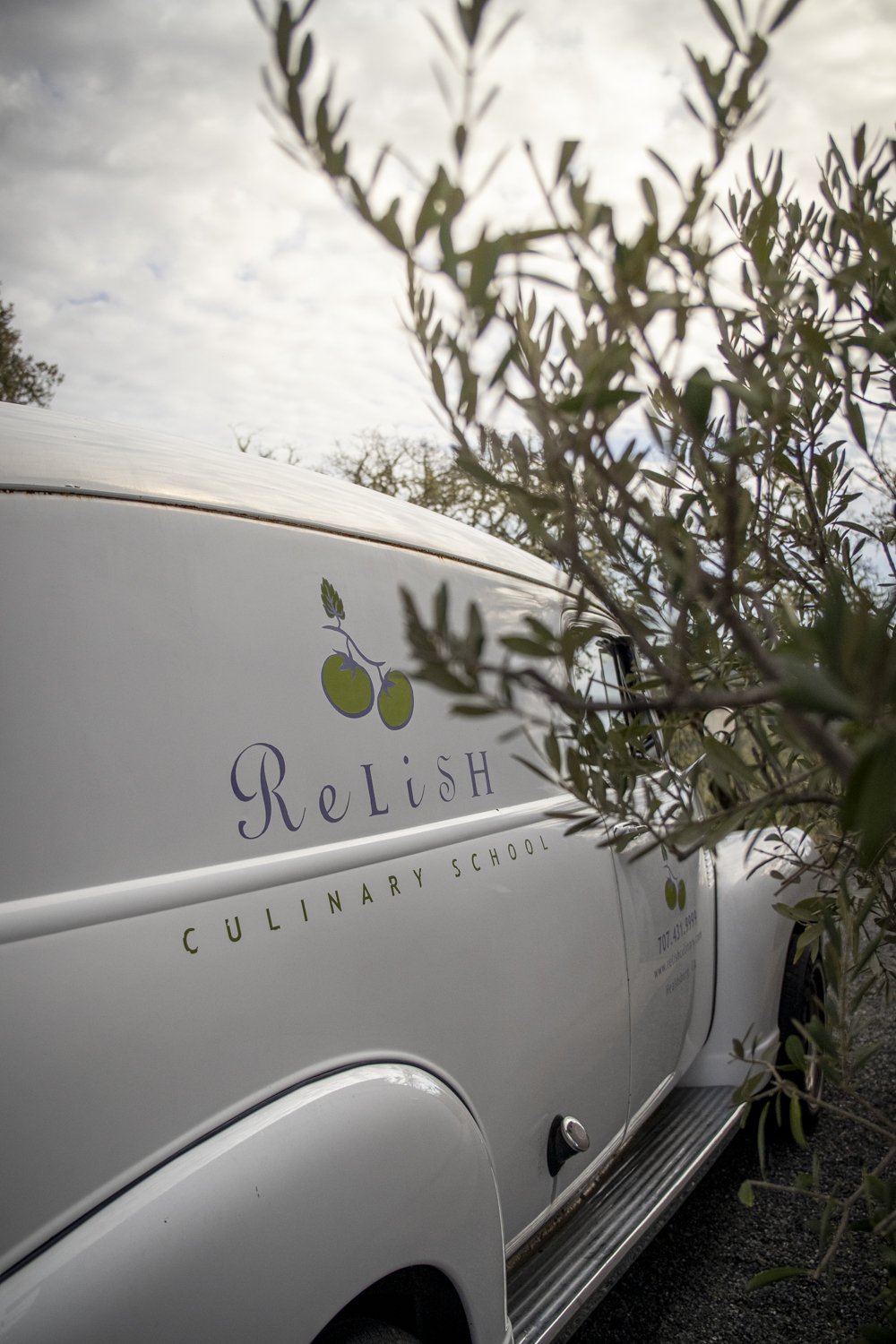 PINE_Adruni_Mushroom Foraging_43133.jpg