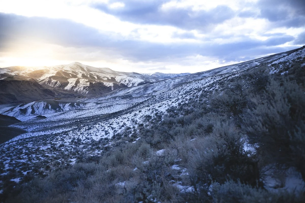 DQP_Legacy Collection_2025_0055.jpg