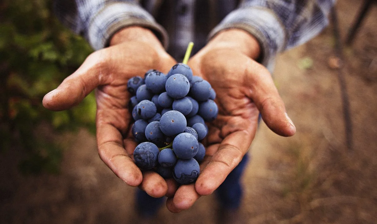 DQP_Legacy Collection_2025_0020.jpg