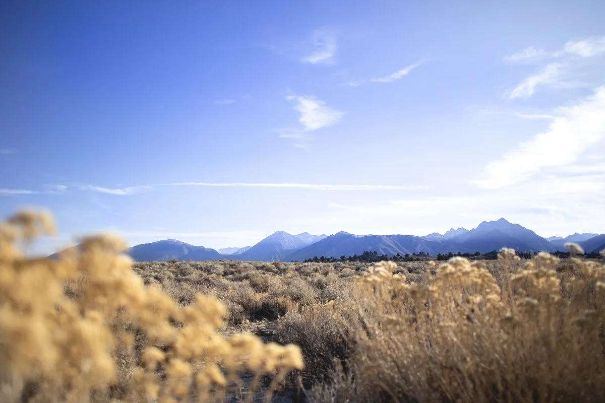 DQP_Legacy Collection_2025_0046.jpg