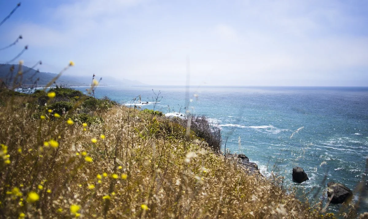 DQP_Legacy Collection_2025_0017.jpg