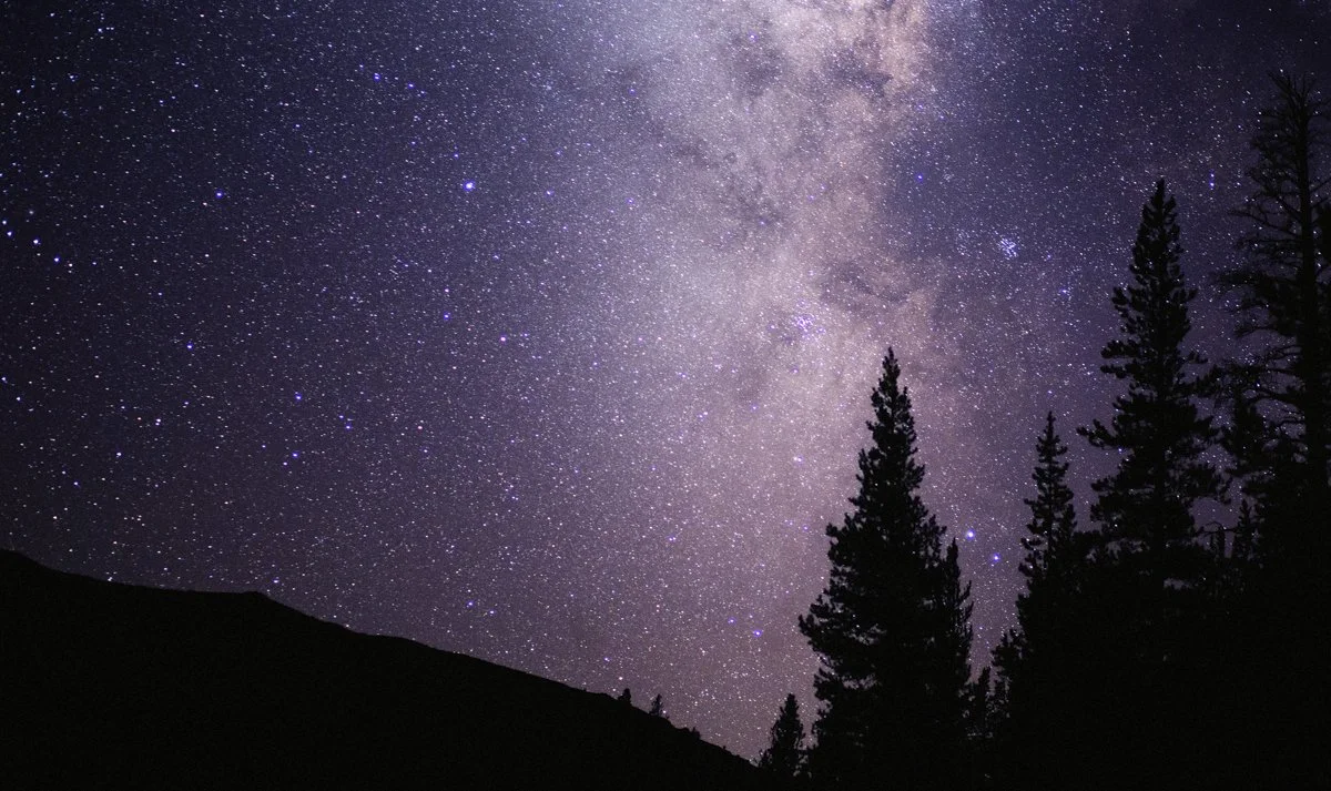 DQP_Legacy Collection_2025_0022.jpg