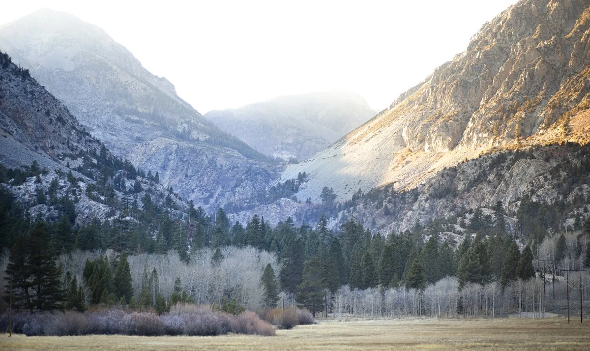 DQP_Legacy Collection_2025_0049.jpg