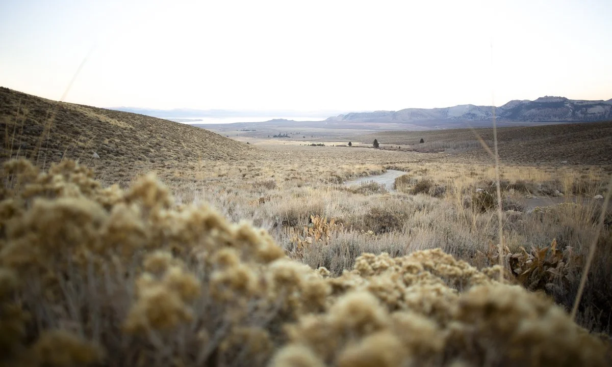 DQP_Legacy Collection_2025_0052.jpg