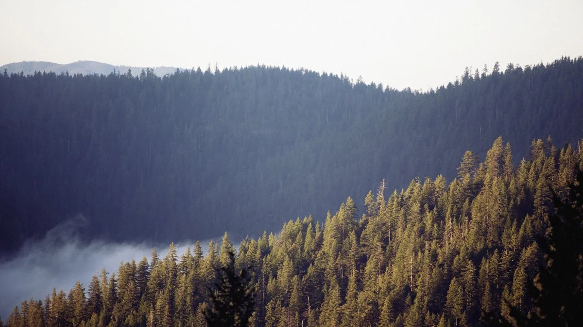 DQP_Legacy Collection_2025_0010.jpg