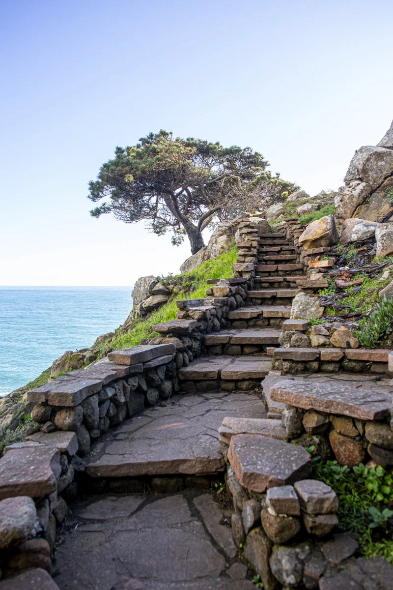 DQP_Legacy Collection_2025_0075.jpg