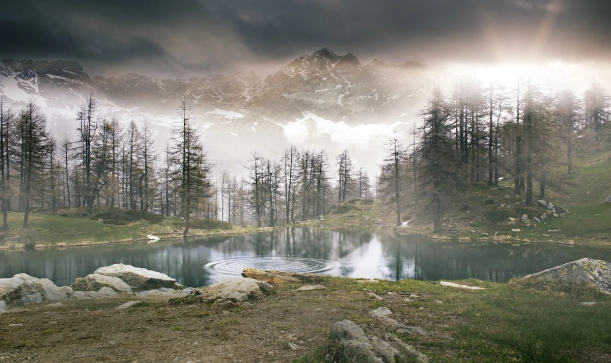 DQP_Legacy Collection_2025_0002.jpg