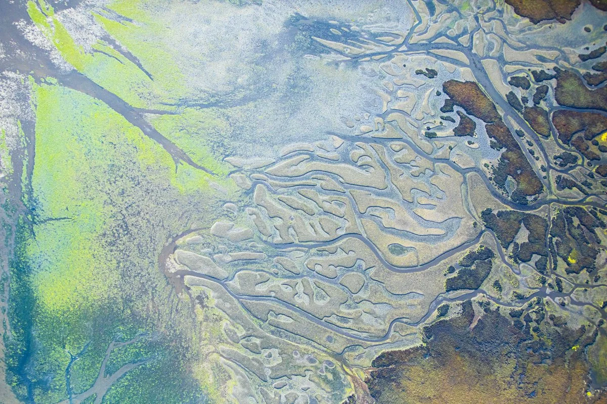 DQP_Legacy Collection_2025_0061.jpg