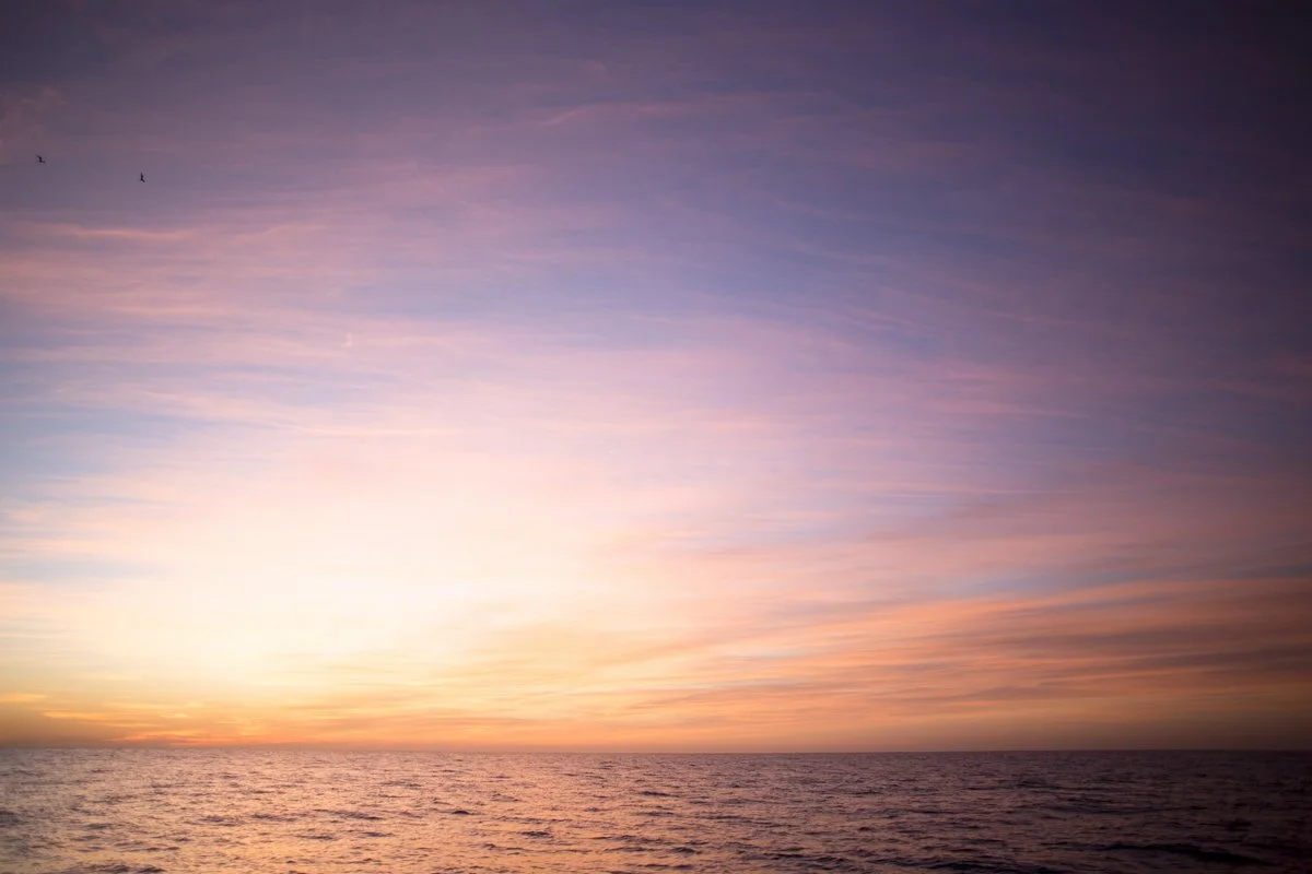 DQP_Legacy Collection_2025_0027.jpg