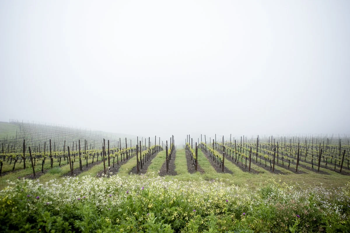 DQP_Legacy Collection_2025_0064.jpg