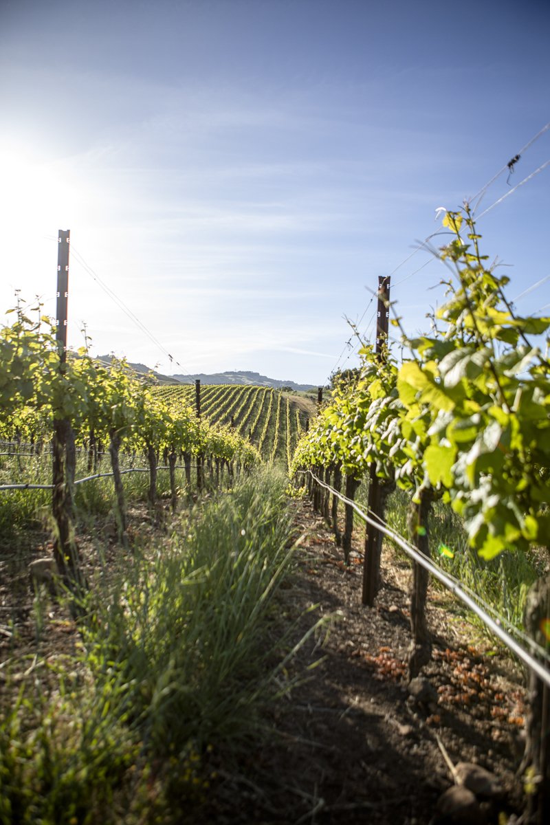 DQP_Legacy Collection_2025_0069.jpg