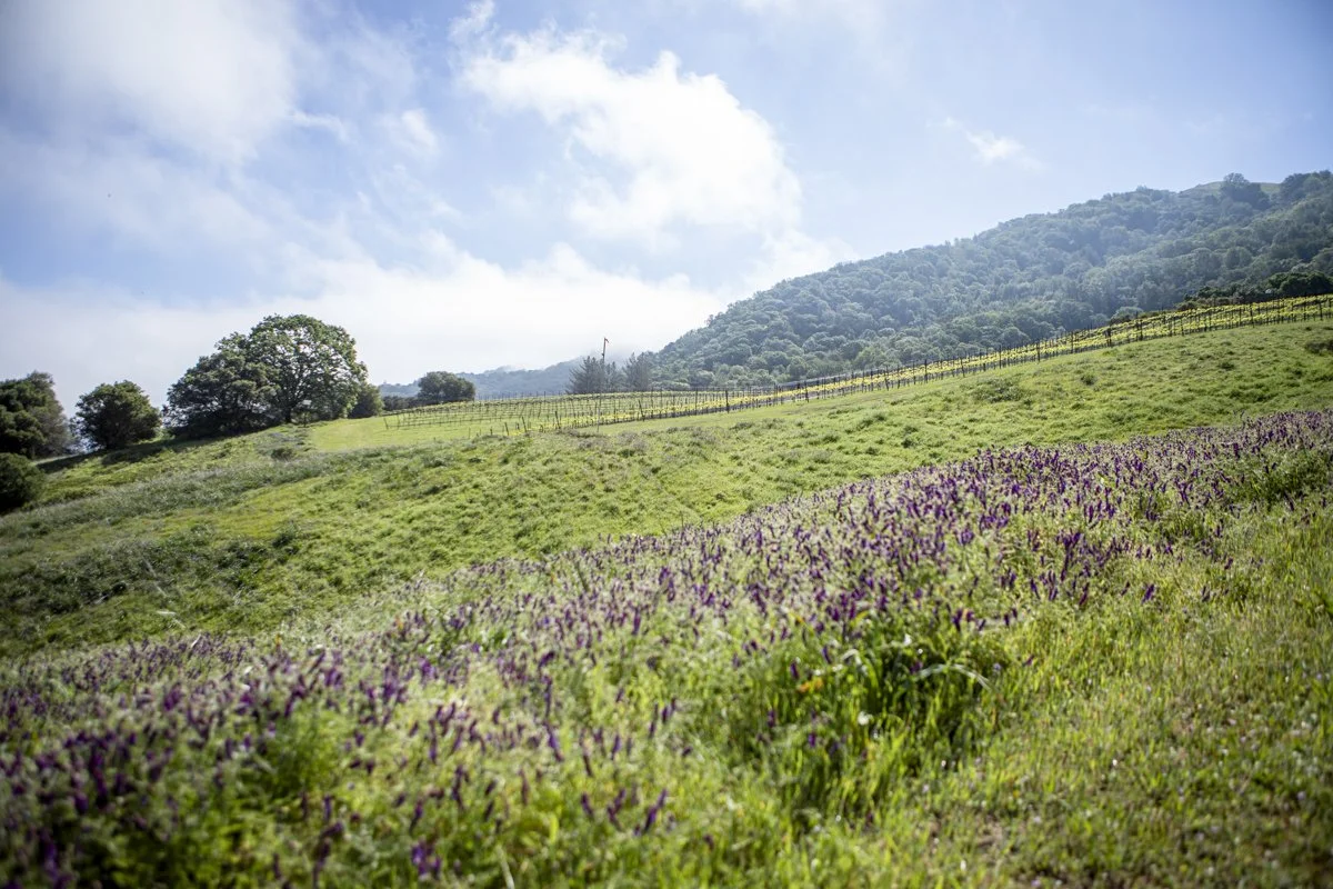 DQP_Legacy Collection_2025_0066.jpg