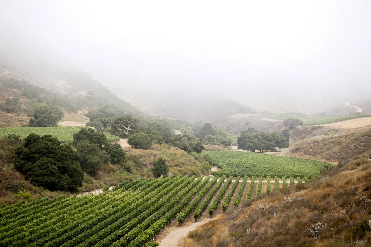 DQP_Legacy Collection_2025_0029.jpg