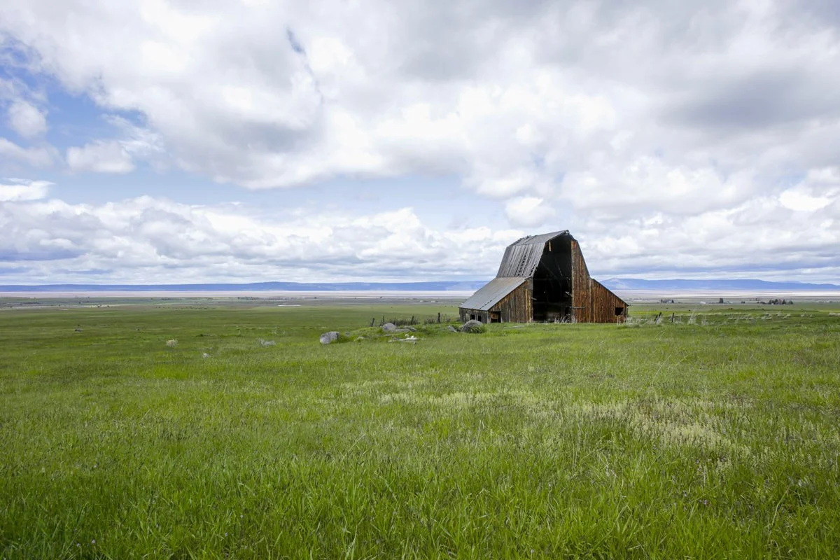 DQP_Legacy Collection_2025_0067.jpg