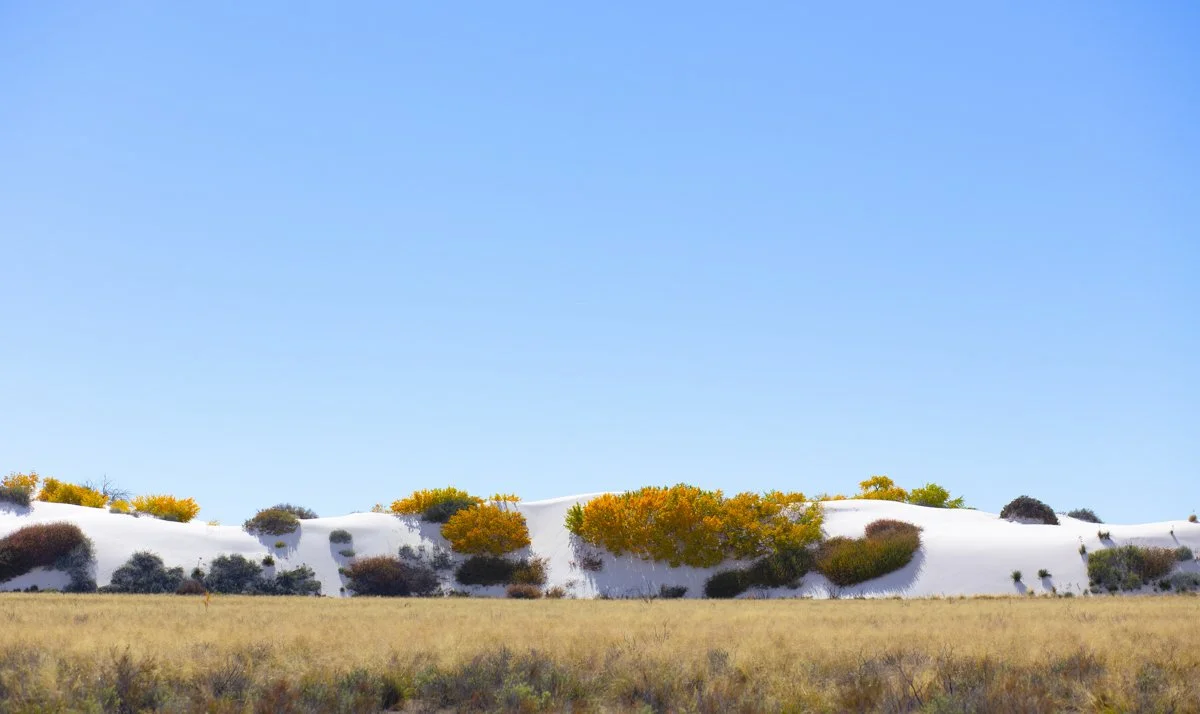 DQP_Legacy Collection_2025_0042.jpg