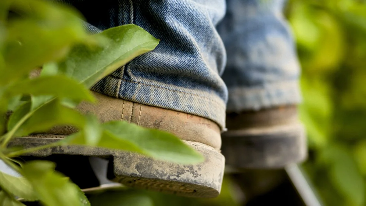 DQP_Legacy Collection_2025_0032.jpg