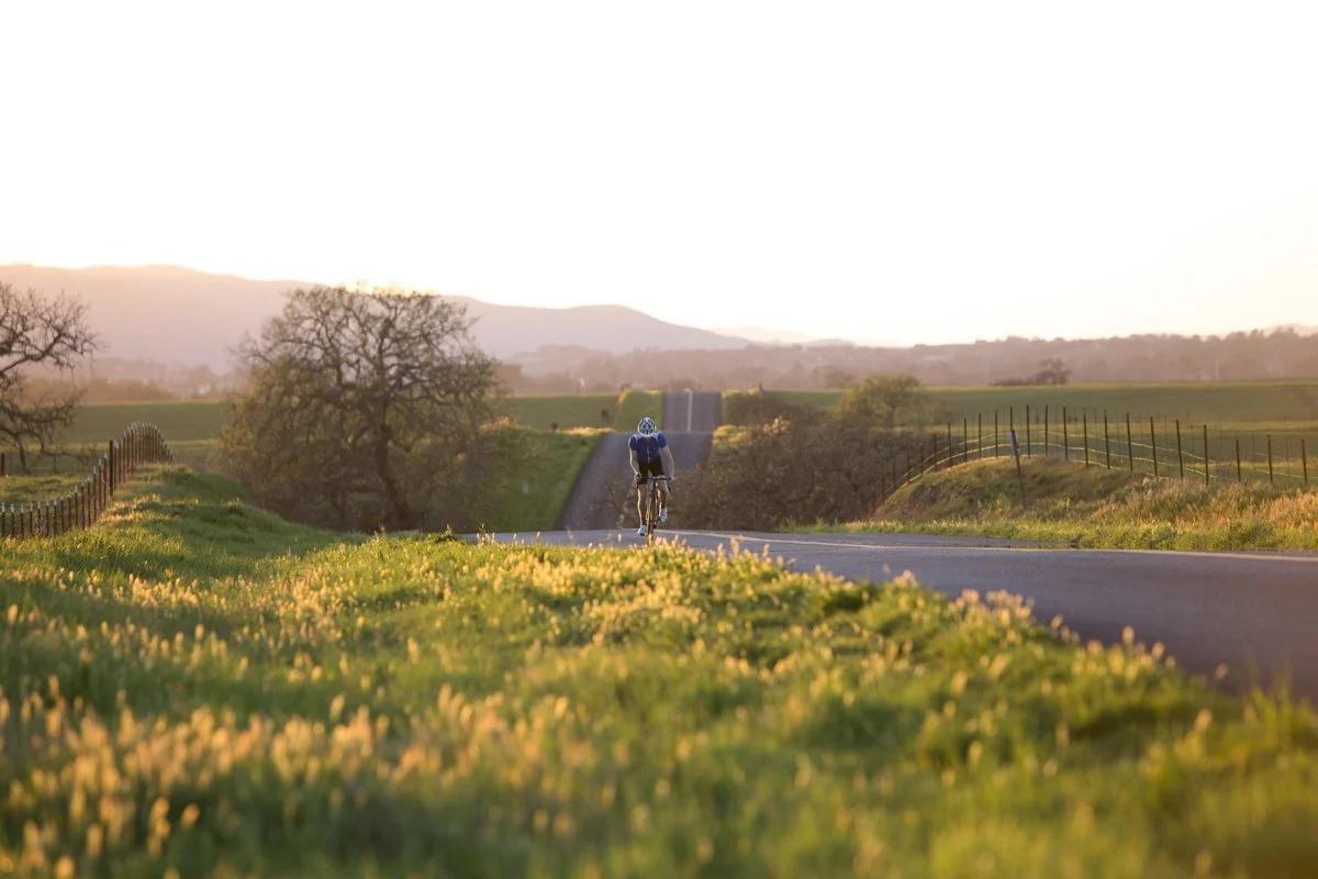 DQP_Legacy Collection_2025_0006.jpg