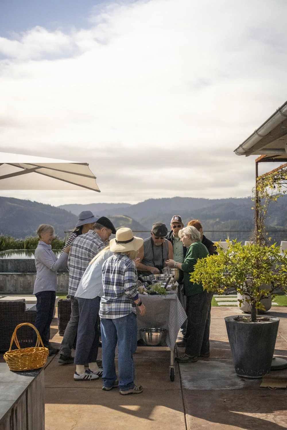 PINE_Adruni_Mushroom Foraging_43229.jpg