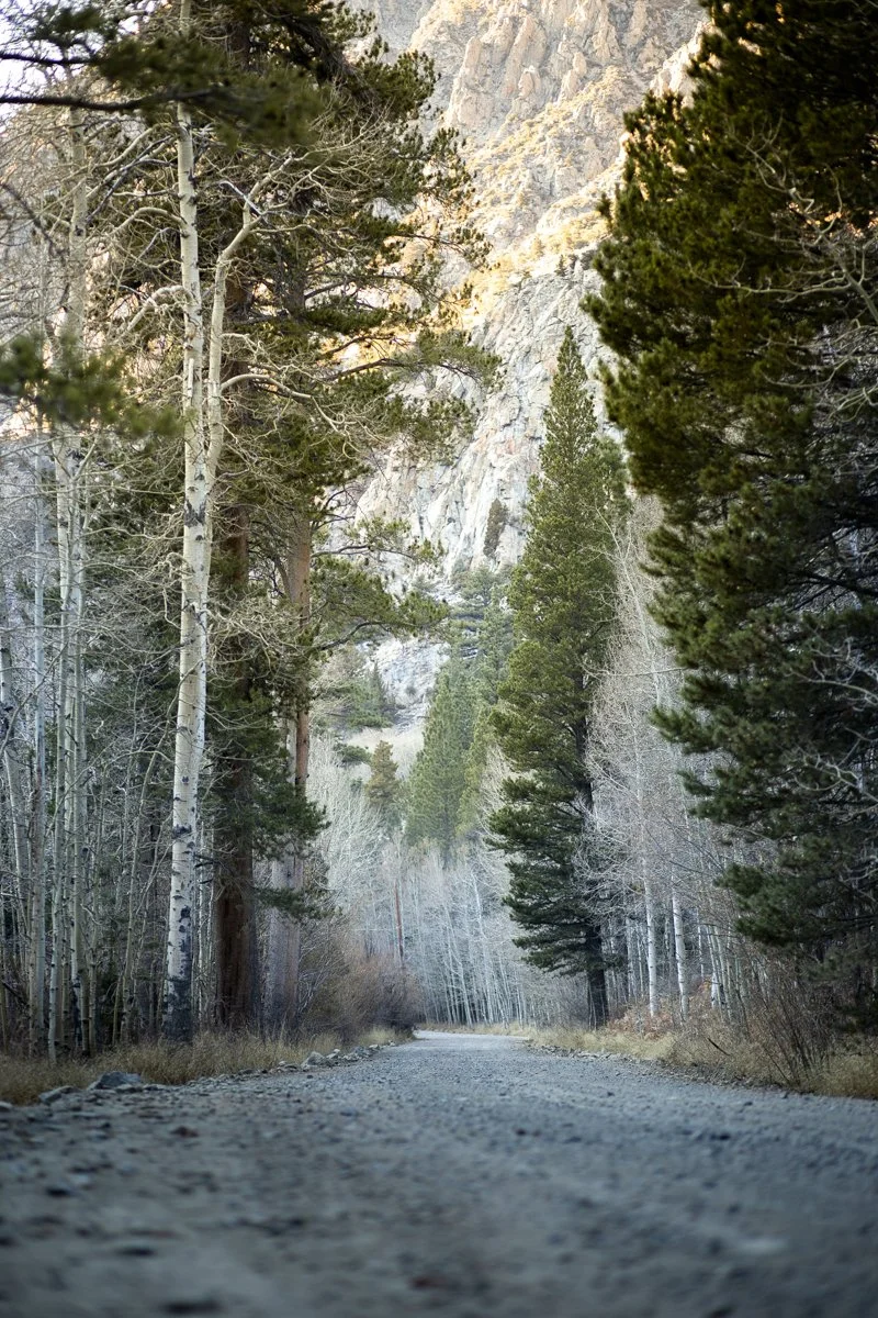 DQP_Legacy Collection_2025_0048.jpg