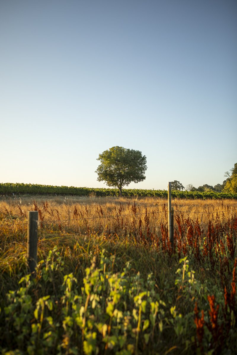 DQP_Legacy Collection_2025_0090.jpg