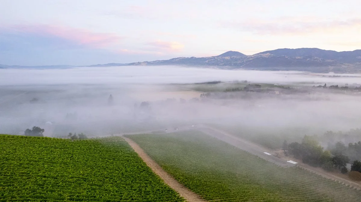 DQP_Legacy Collection_2025_0081.jpg