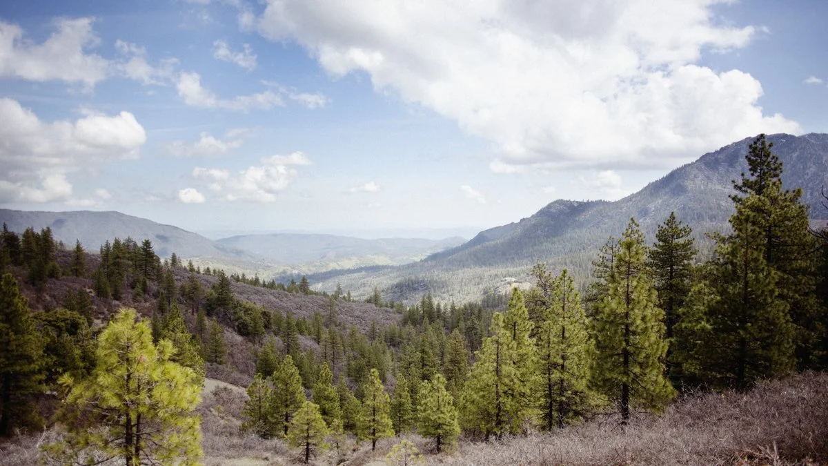 DQP_Legacy Collection_2025_0012.jpg