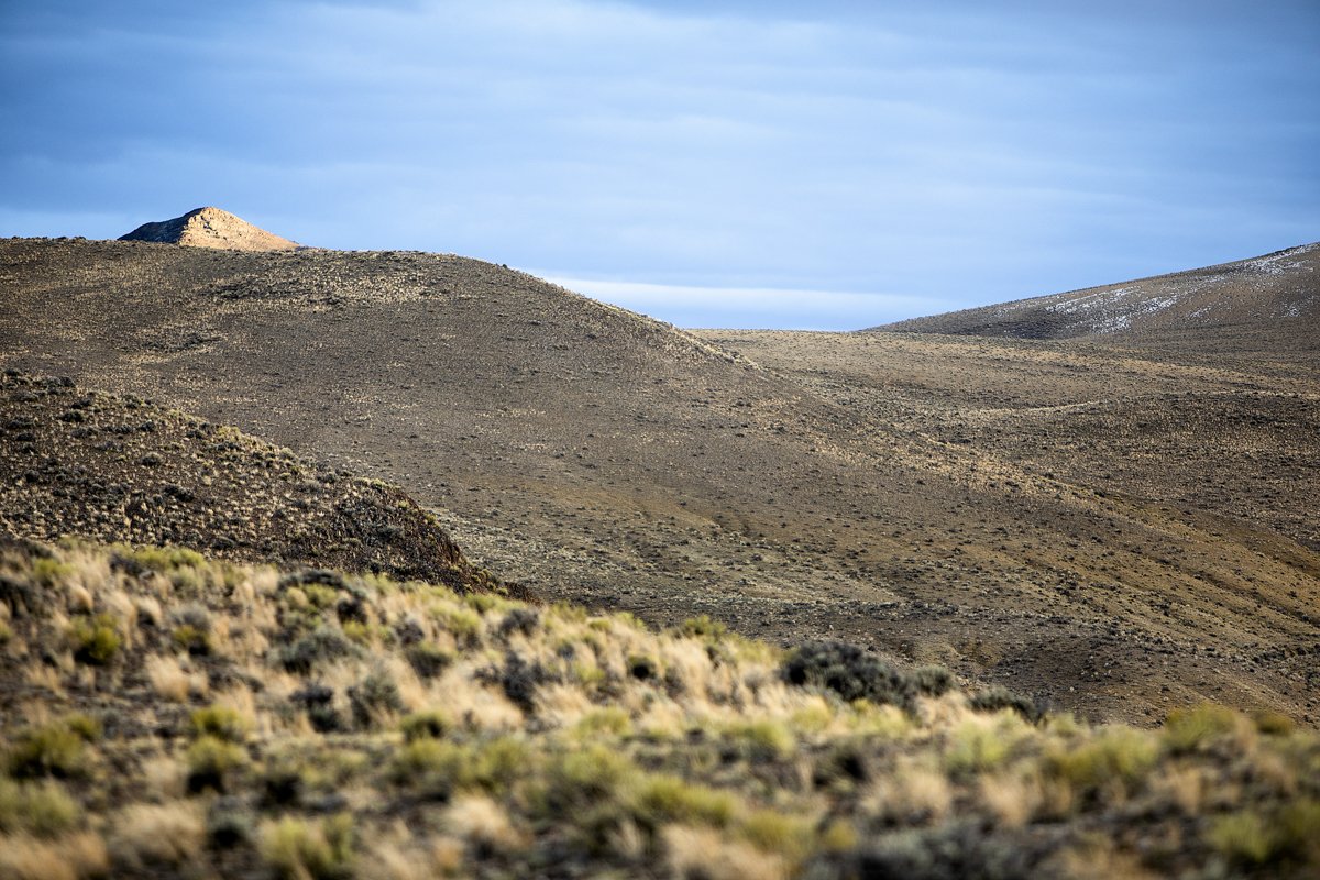 DQP_Legacy Collection_2025_0057.jpg