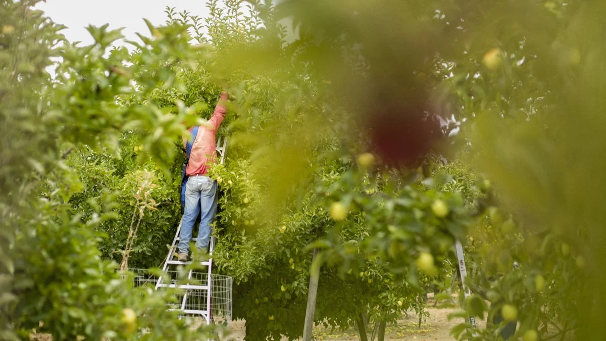 DQP_Legacy Collection_2025_0033.jpg