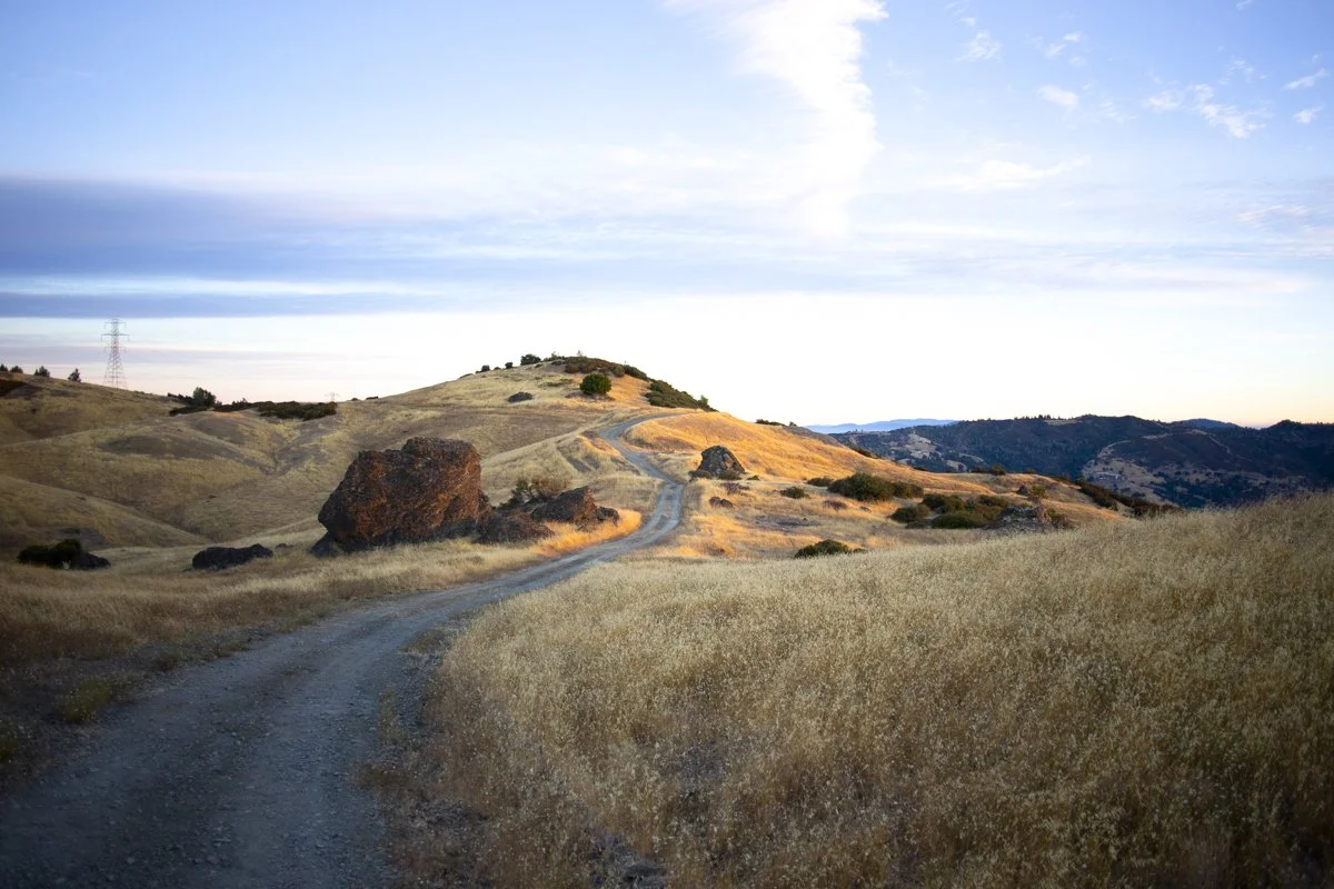 DQP_Legacy Collection_2025_0038.jpg